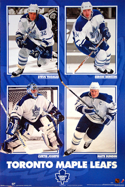Felix Potvin Blue-and-White Toronto Maple Leafs Hockey Goalie NHL Action  Poster - Starline 1997