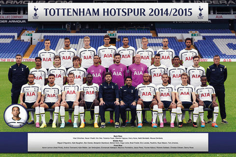 Poster, Quadro Tottenham Hotspur FC - Players 13/14 em