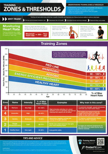 Training Zones and Cardio Thresholds Fitness Training Wall Chart Poster ...