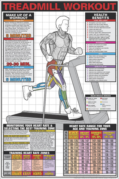 Treadmill Workout Professional Cardio Fitness Instructional Wall Chart Poster - Fitnus Corp.