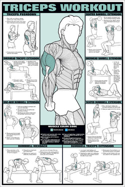 Triceps Workout Arm Fitness Professional Instructional Wall Chart Poster - Fitnus Corp.