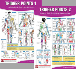 Trigger Points Massage Therapy Fitness Anatomy 2-Poster Wall Chart Set - PFP
