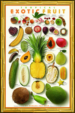 Tropical Exotic Fruits Wall Chart Poster by Norman Van Aken - American Image