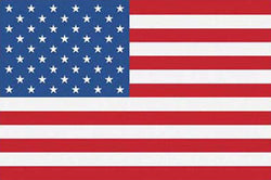 US Flag Poster - Trends International