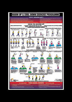 Warm-Up and Cool-Down Fitness Instructional Wall Chart - Chartex