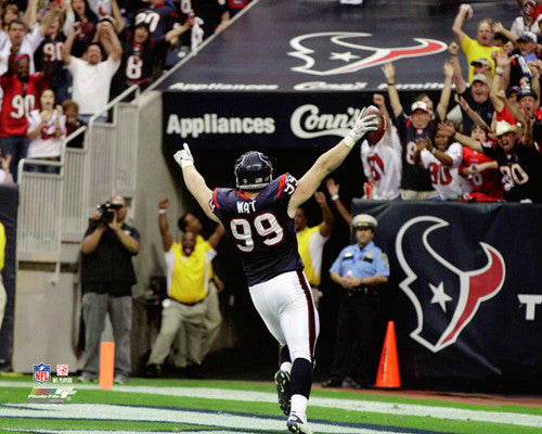 Houston Texans Panoramic - Reliant Stadium Picture - End Zone