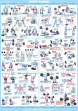 Weight Training Fitness Complete Body Instructional Wall Chart Poster - Chartex Products