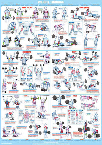 Weight Training Fitness Complete Body Instructional Wall Chart Poster - Chartex Products