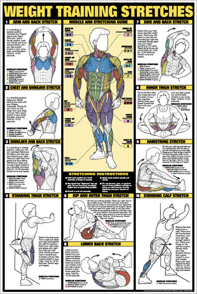 BEGINNING YOGA Wall Chart Poster - Fitness, Gym, Workout, Health Club -  Fitnus Posters 2002