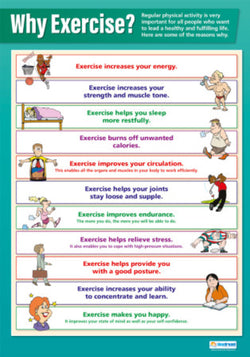 elementary physical education posters