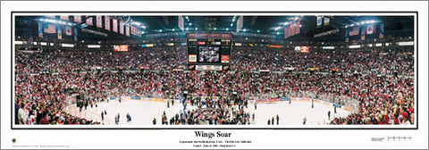 Detroit Red Wings "Wings Soar" 2002 Stanley Cup Champs Panoramic Poster - Everlasting