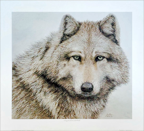 Gray Wolf "Straight From The Heart" Wildlife Art by Jan Bain L/E Lithograph Poster Print - Lumbers Publishing 1997