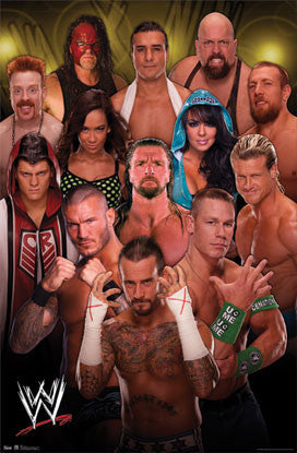WWE Wrestling Superstars 2012-13 Fan Poster - Costacos Sports