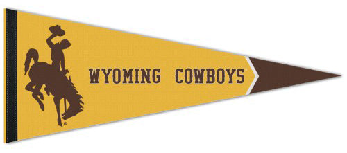 University Of Wyoming Wyoming Pennant Wyoming Flag Beanie - Foto 9