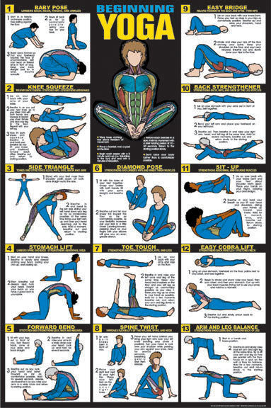 Beginning Yoga Instructional Fitness Wall Chart Poster - Fitnus Corp ...