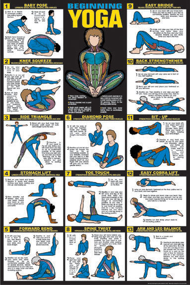 Yoga Poses Poster For Beginners - QuickFit Yoga Position Wall Poster/Chart  - ( Laminated, 11.7 x 16.5 Inches ) : Kunal S: : Books