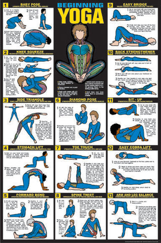 Beginning Yoga Instructional Fitness Wall Chart Poster - Fitnus Corp.