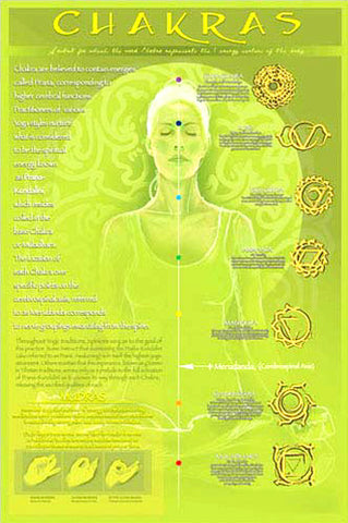 Yoga Chakras and Mudras Yoga Studio Wall Chart Poster - Eurographics Inc.