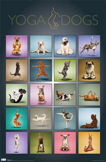 Yoga Dogs Poster - Trends International Inc.