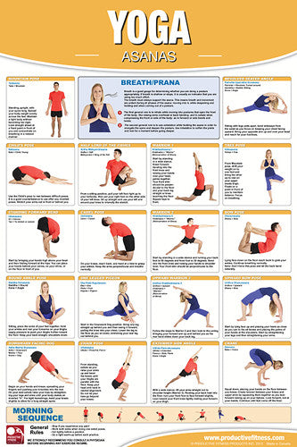 Yoga Fitness Asanas Wall Chart Professional Gym Poster