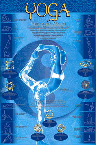Yoga Postures and Chakras Yoga Studio Wall Chart Poster - Eurographics Inc.